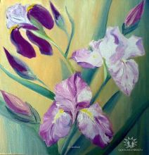 Ирисы