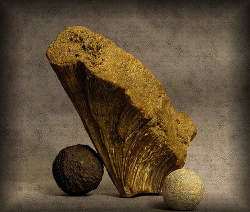 История в камне 3