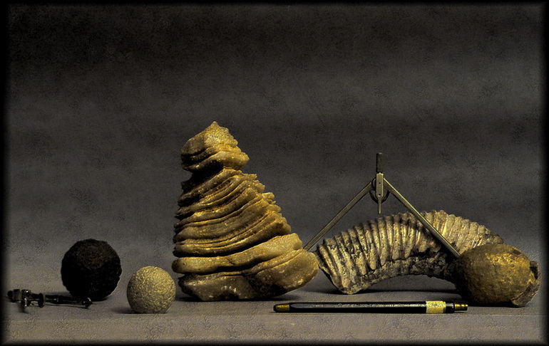 История в камне