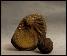 История в камне 5