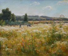 Цветущее поле