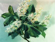 Цветущий каштан