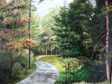 Едем на Чайку