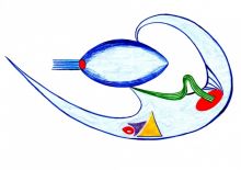 Сложное движение души негуманоидформ