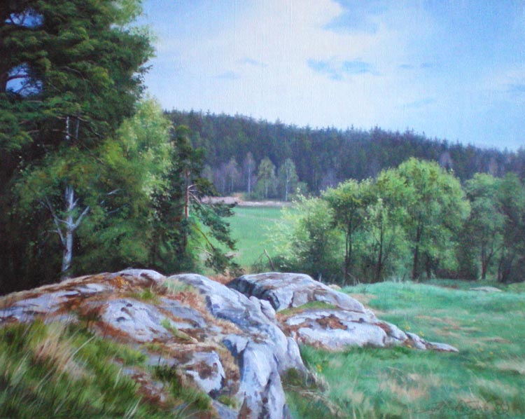 Карелия. Камни в Хийтола