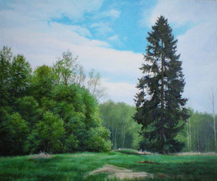 На Севере диком