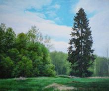 На Севере диком