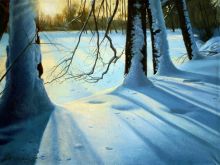 С-нежное солнце