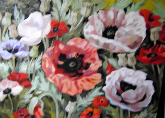 Маки цветные