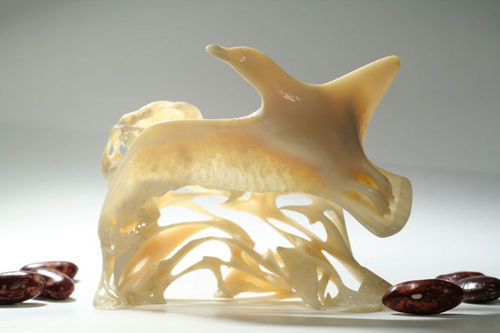 Чайка Джонатан