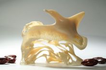 Чайка Джонатан