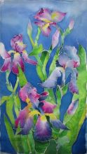ирисы