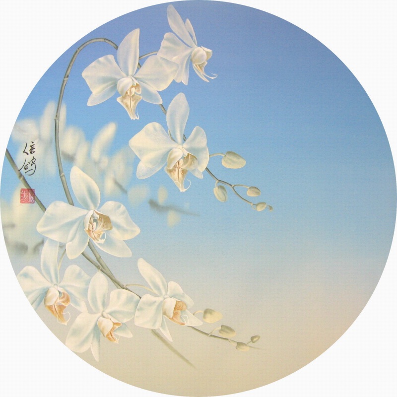 Летящяя орхидея