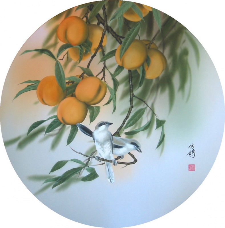 Сотокопуты