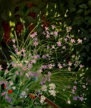 Нежный уголок моего сада