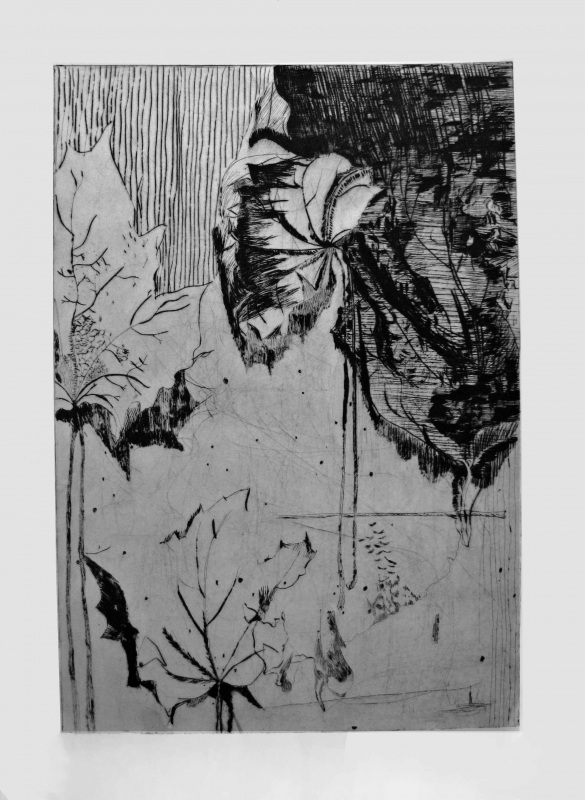 кленовый лист