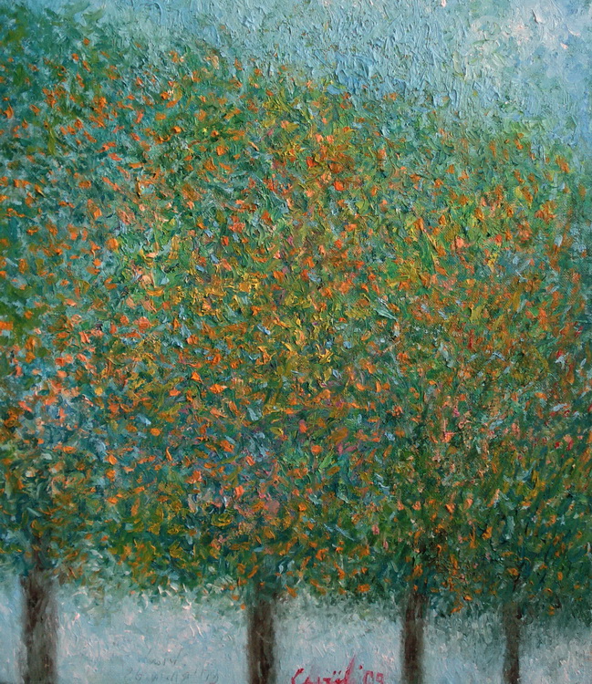  Апельсиновые деревья. 