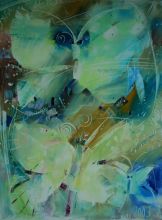 Коллекция бабочек 2