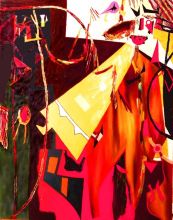 Тёмновишнёвая моль