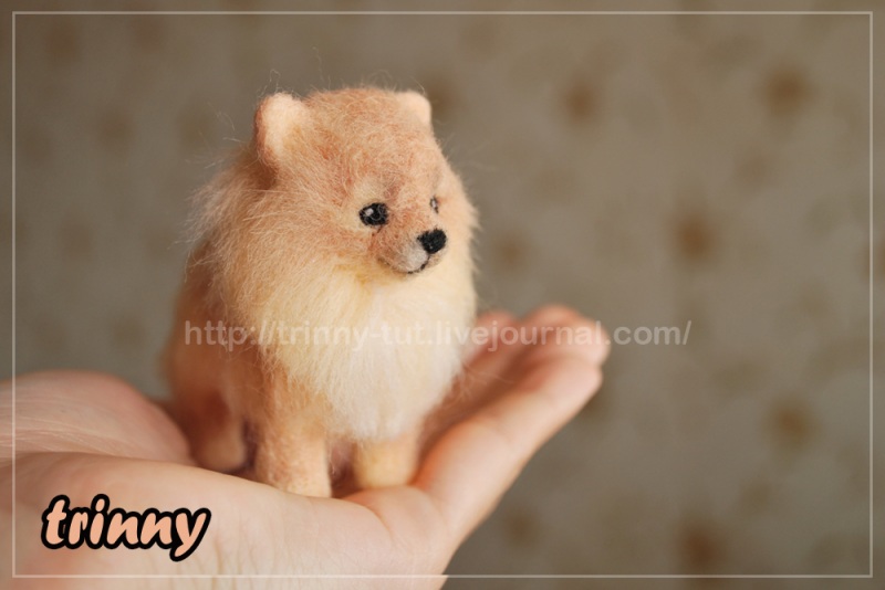 Микро-шпиц Петруша