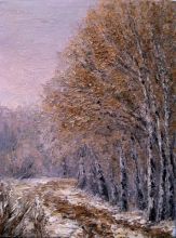 первый снег