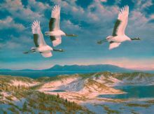 Закатный круг