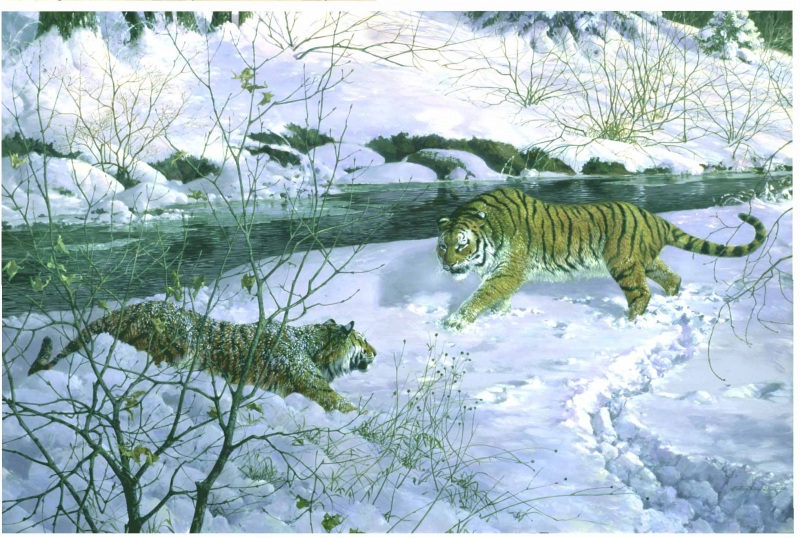 Мартовские тигры