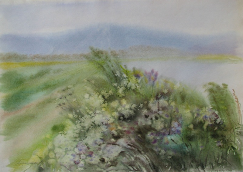 Травы озера Танай