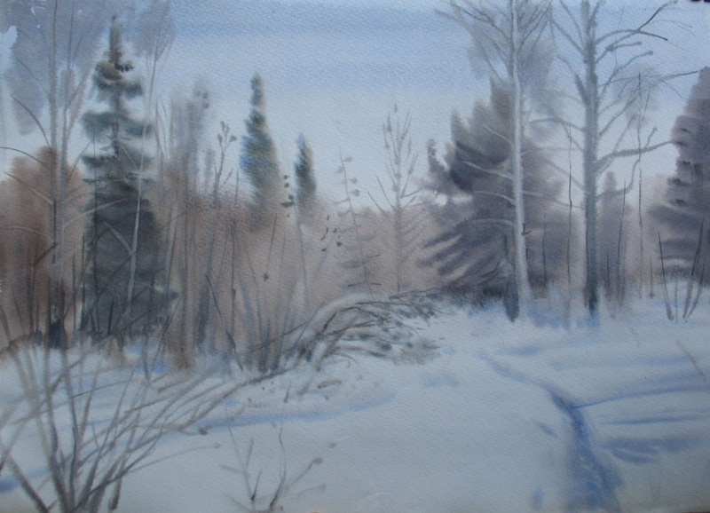 Лесная тропа