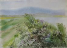 Травы озера Танай