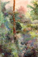 Волосов Владимир Давидович