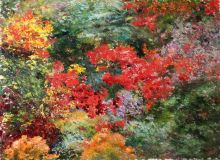 Цвета и фактура леса