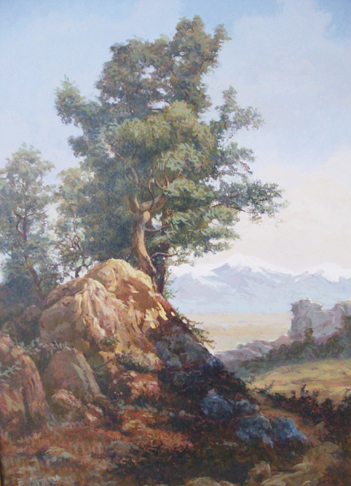 дерево растущее на камне