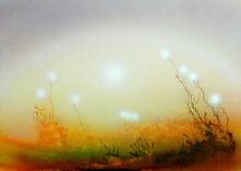 Цветы Мира Тонкого