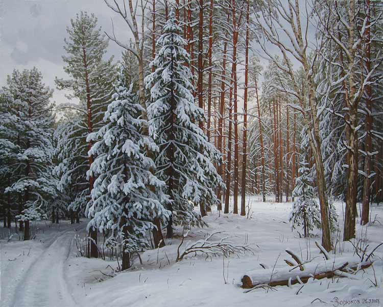 Зимой в лесу