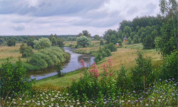 Иван-чай у Болвы