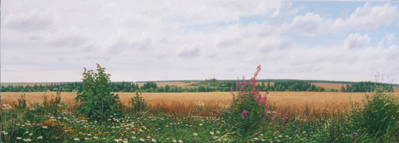 Летнее раздолье