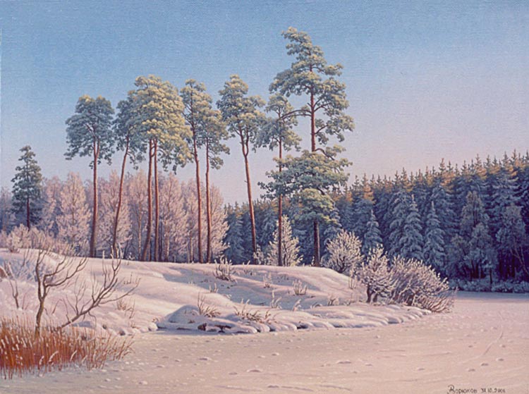 Короткий зимний день