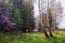 В лесу ложатся тени...