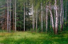 Березки-подружки