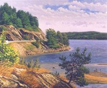 Уголок Норвегии