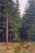 Еловое царство