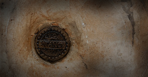 Питанов Денис