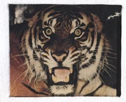 Каменская Надежда Леонидовна