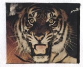 Каменская Надежда Леонидовна