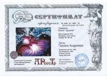 Полет Ориона