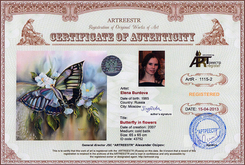 Butterfly in flowers