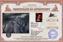 Rays through the forest