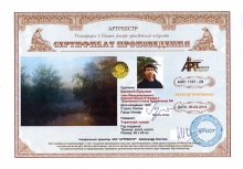 Утренний туман