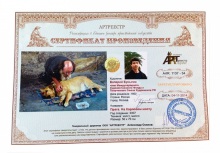 Прага. На Карловом мосту